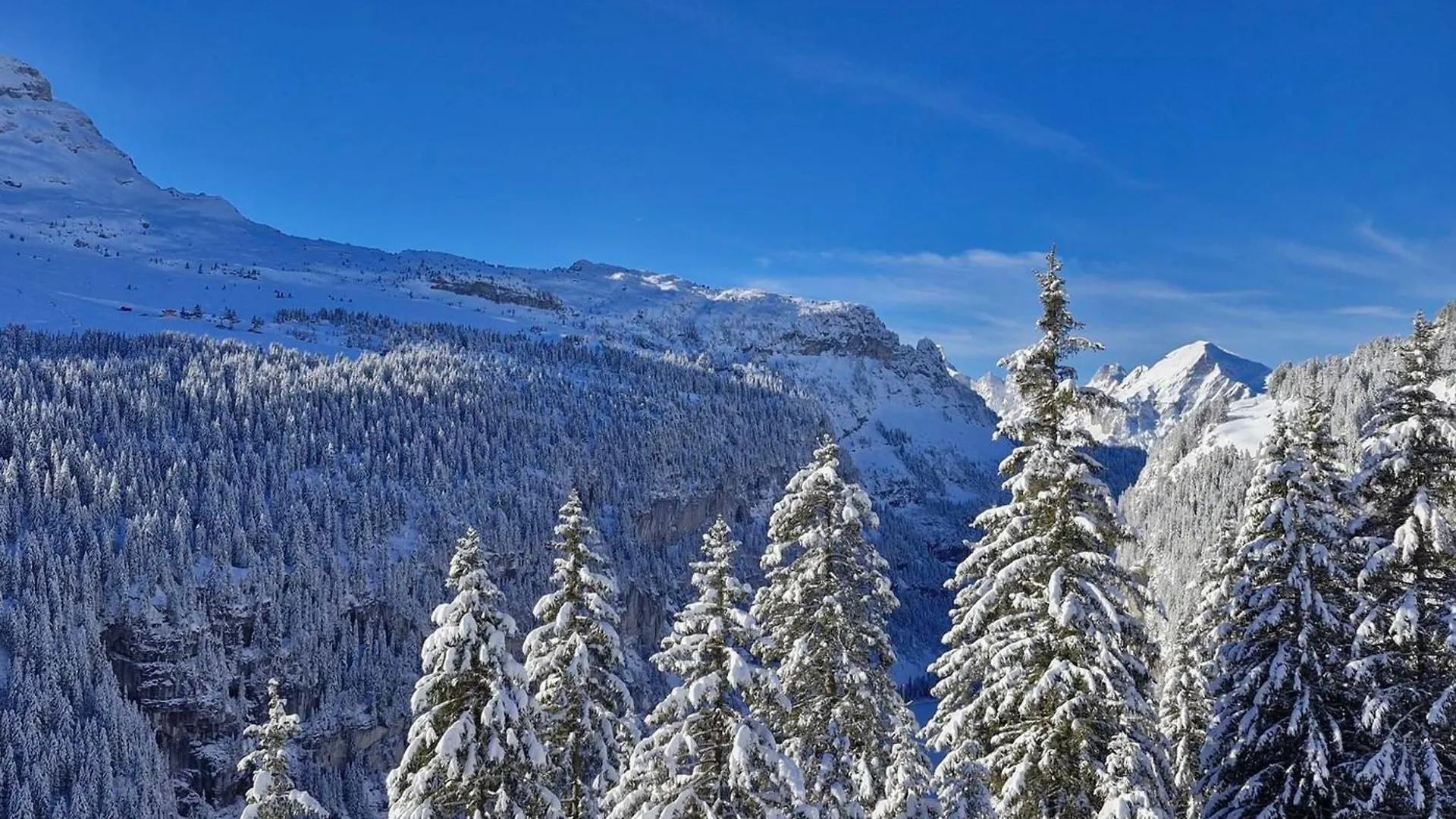 Appartement Flaine, 2 pièces, 4 personnes - FR-1-425-184 Francia
